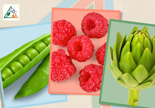 High Fiber Foods to Add to Your Diet