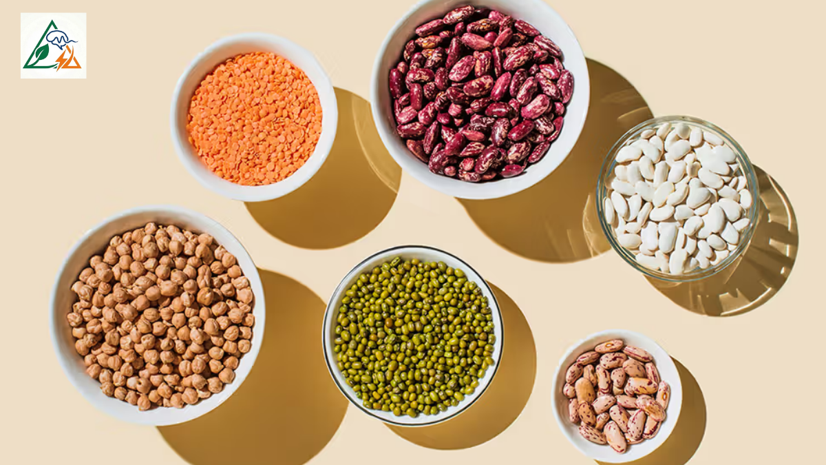 High Fiber Foods