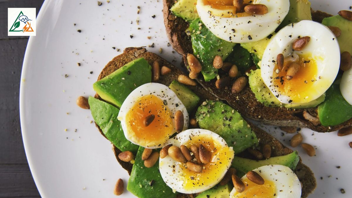 High Protein Breakfast Ideas for Weight Loss