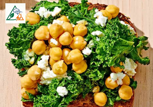 High Protein Breakfast Recipes for Weight Loss