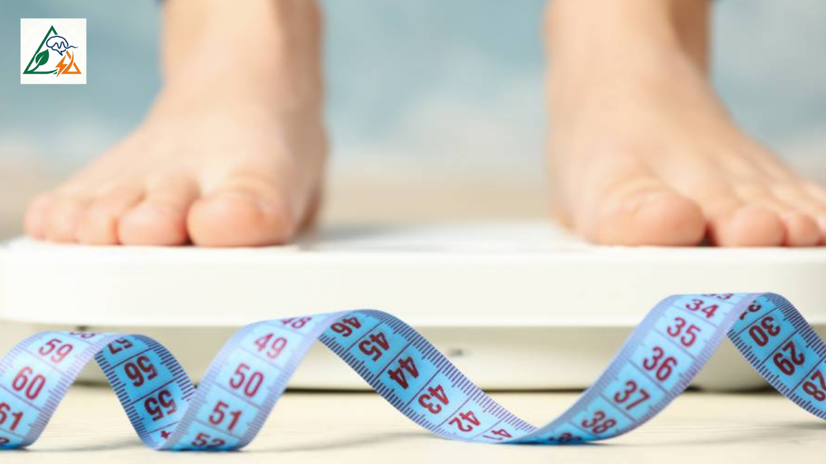 How to lose belly fat after 40