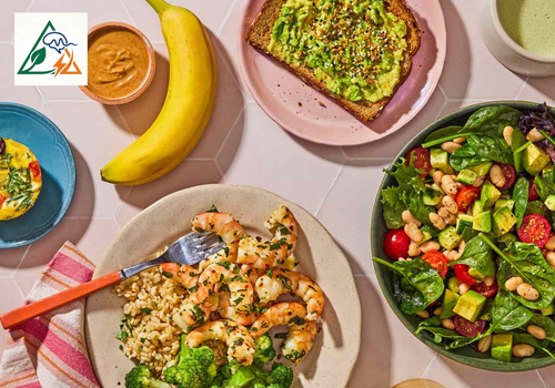 Meal Plan To Lose Belly Fat